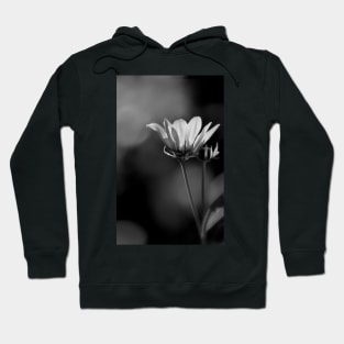 inner light Hoodie